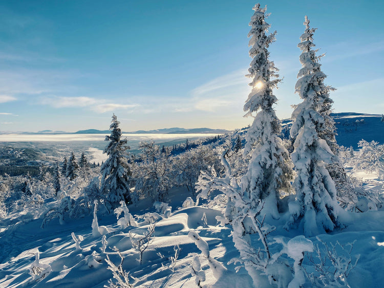 are åre ski resort poster print