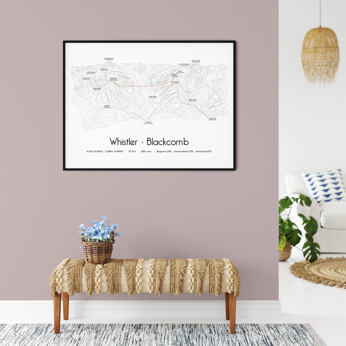 whistler blackcomb ski art print on pink wall